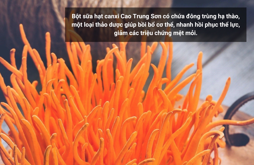 Bột sữa hạt canxi Cao Trung Sơn có chứa đông trùng hạ thảo