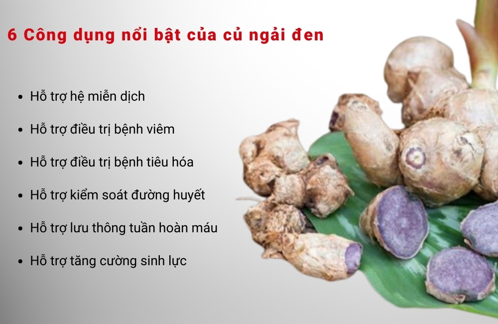 6 Công dụng nổi bật của củ ngải đen